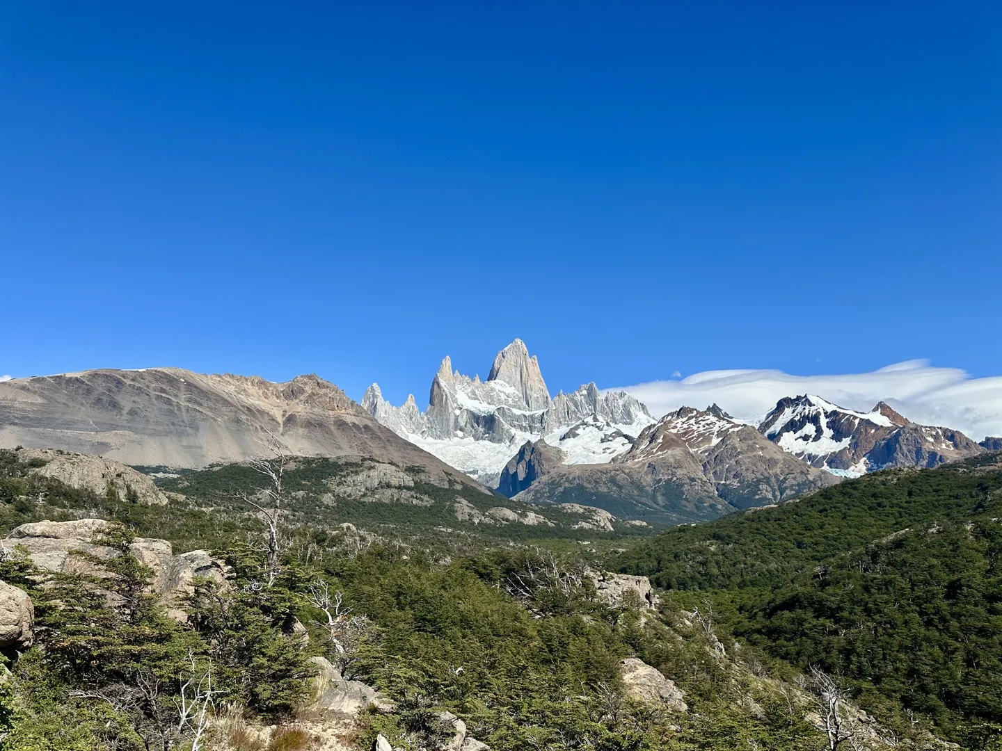 Fitz Roy rising above the forest on the trail back to El Chaltén under a clear blue sky