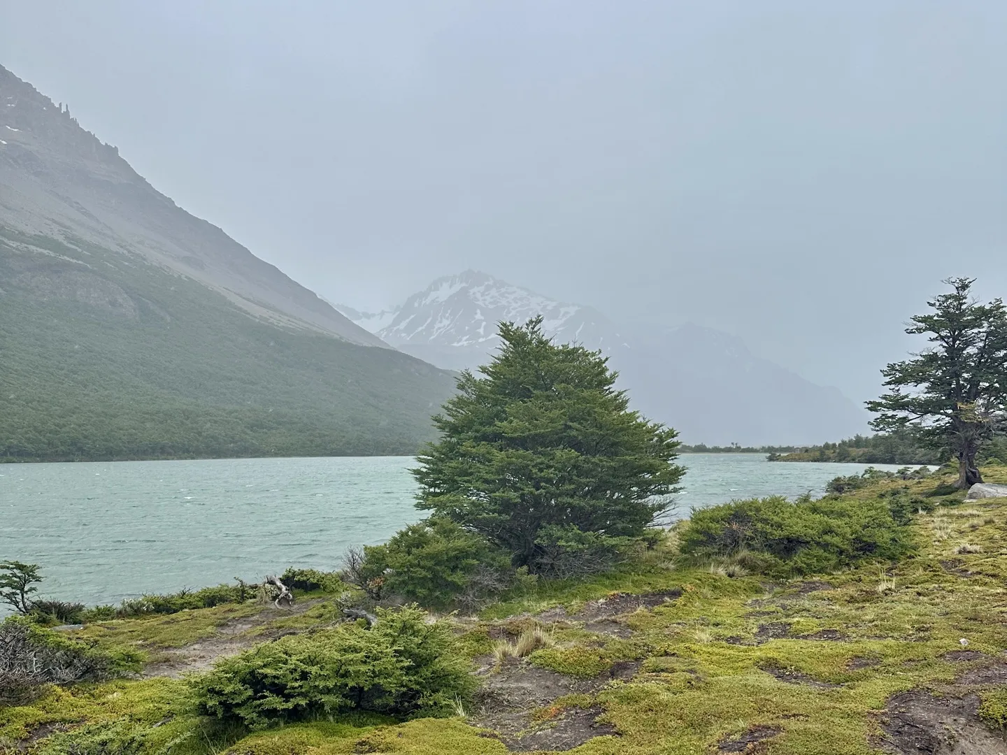 Lagunas Madre y Hija under heavy cloud, with a lone tree on the shore and a snowy peak lost in mist