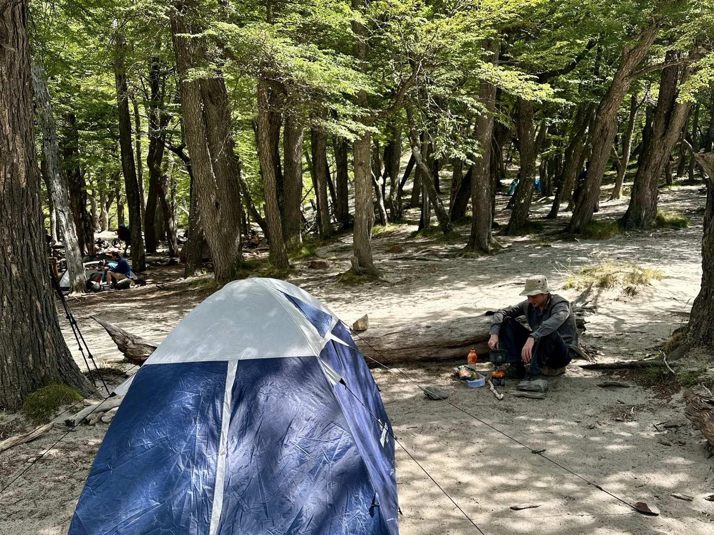 A tent pitched among the trees at Campamento De Agostini while a hiker cooks lunch on a log