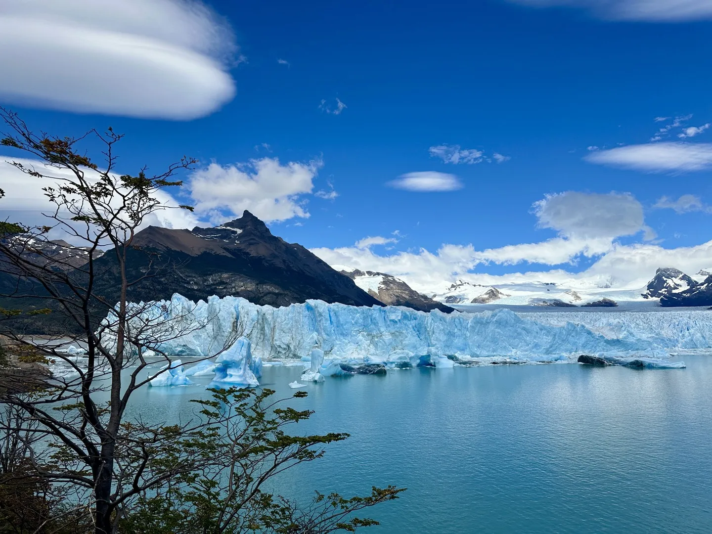 Perito Moreno Glacier and the mountains behind it framed by a bare lenga branch