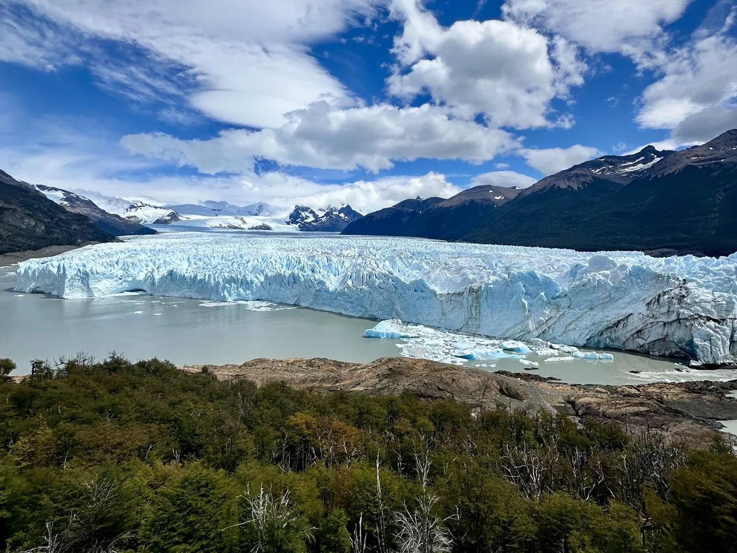 Perito Moreno Glacier spreading across the lake, seen from the upper viewpoint above the forest