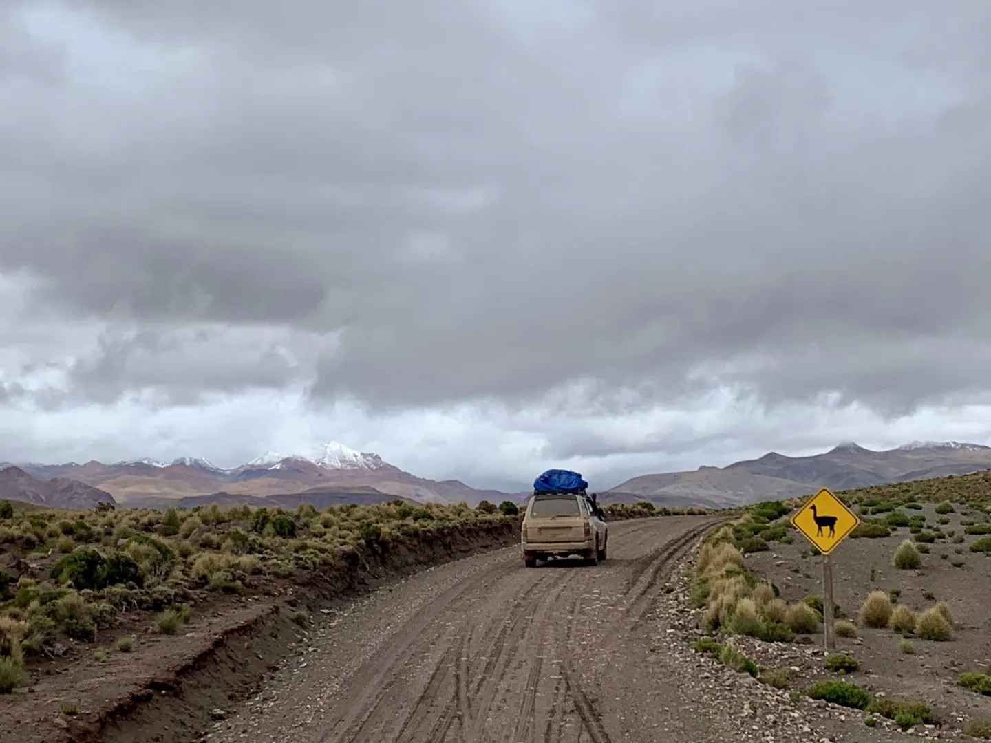 A tour 4WD on a muddy dirt road in Sud Lipez, passing a yellow llama crossing sign with snowy peaks behind