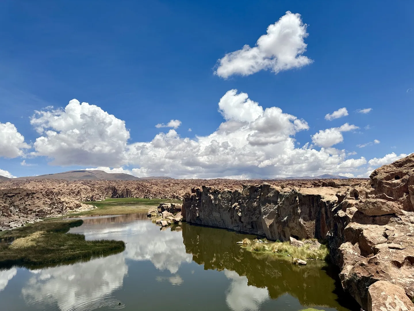 Reeds and green water at Laguna Negra, hemmed in by rocky cliffs under a blue sky