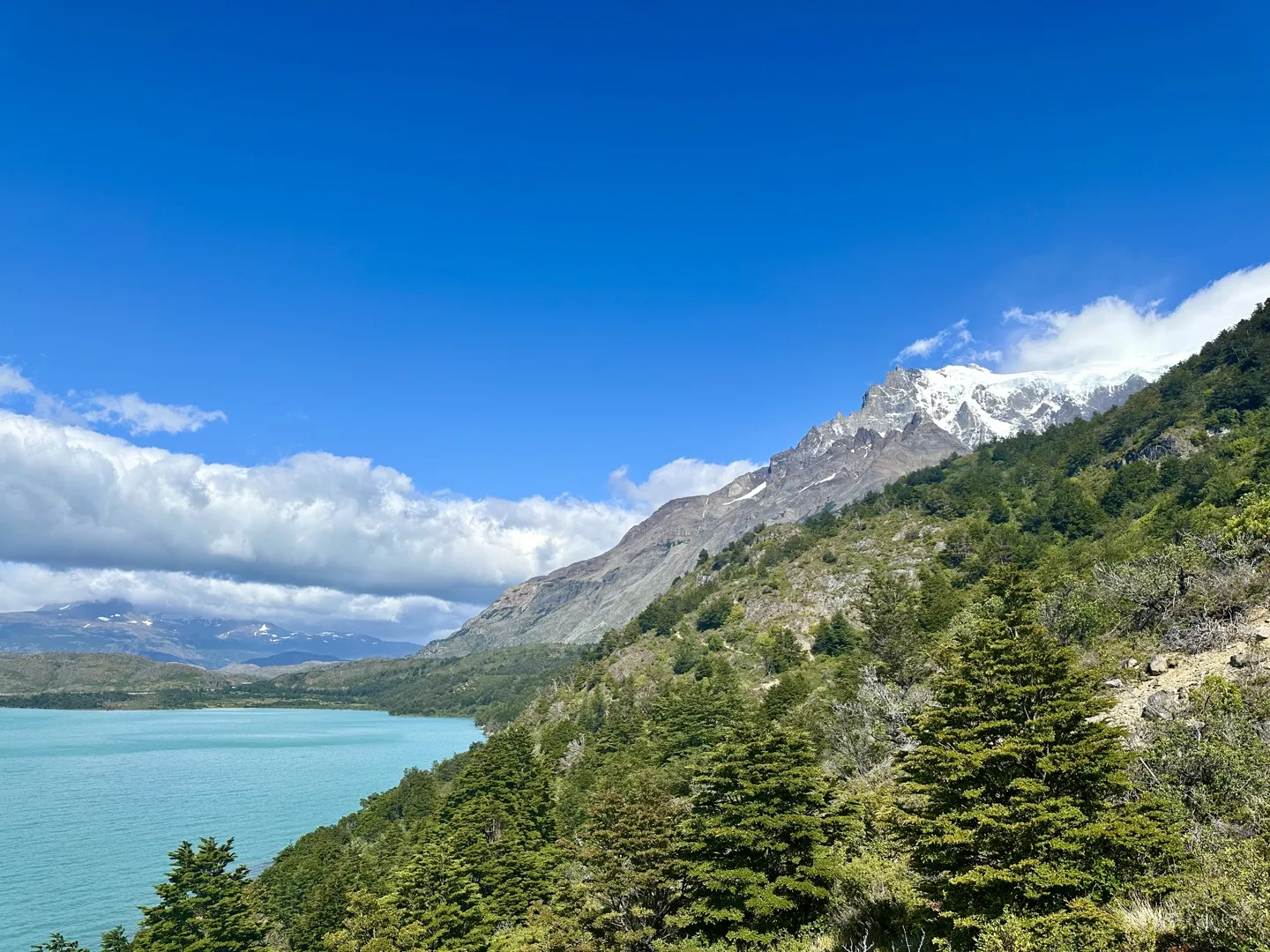 Turquoise Lago Nordenskjöld below the forested slopes of the Paine massif on Day 3 of the W Trek