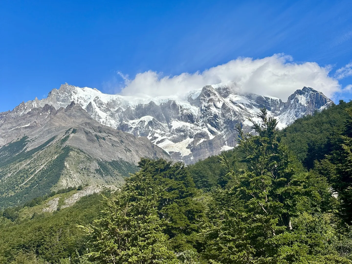 Snow-capped peaks of the Paine massif above the forest on the trail east of Francés