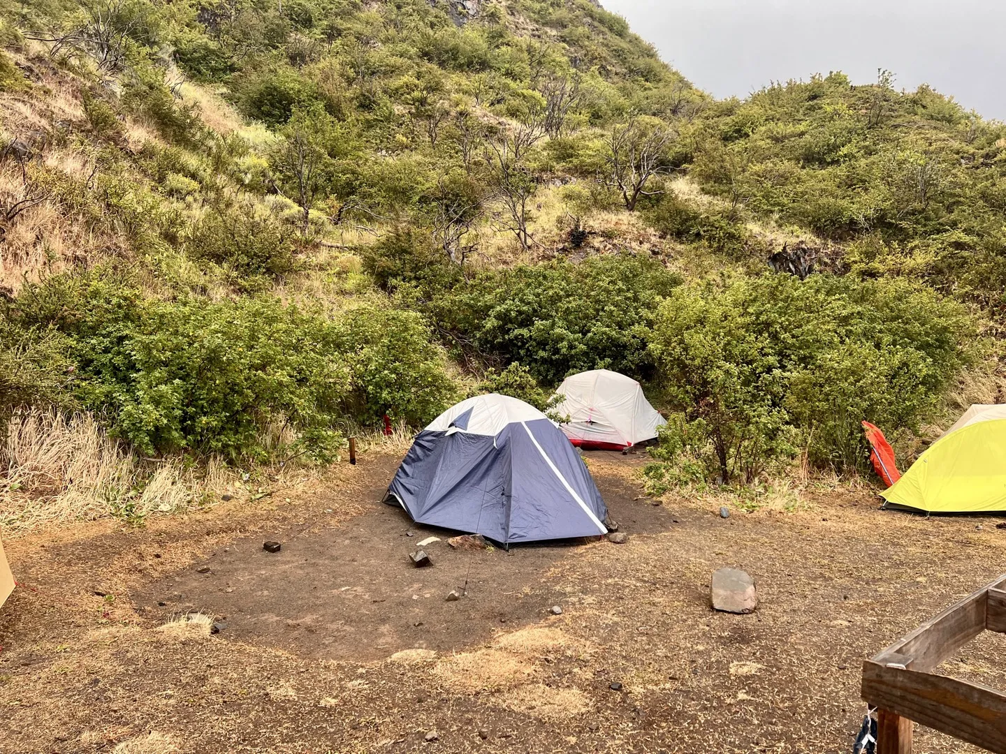 Tents pitched on the ground at Paine Grande campsite on the first night of the W Trek