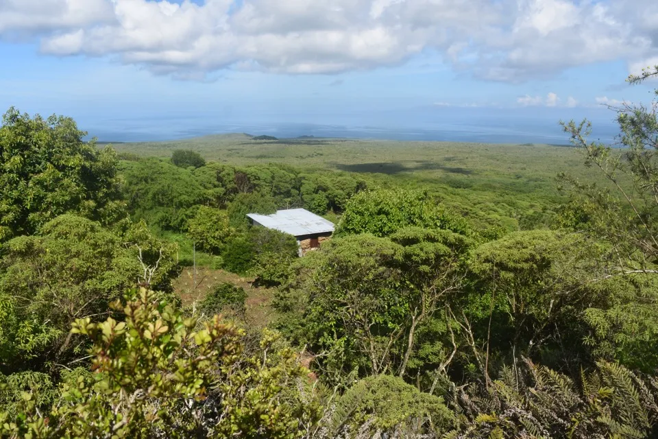 View from Asilo de la Paz over green forest in the Floreana highlands, with the sea on the horizon