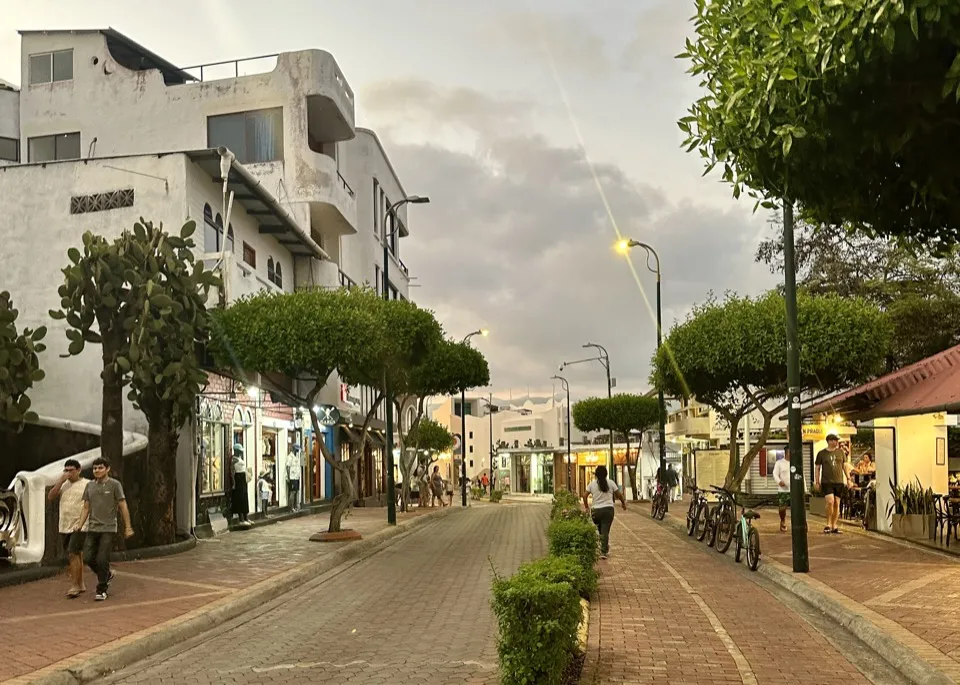 A quiet, tree-lined street of low white buildings in a Galápagos town