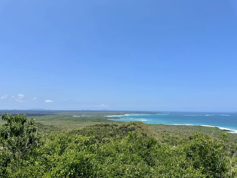 Green scrub stretching down to a turquoise bay and white-sand beach under a clear blue sky