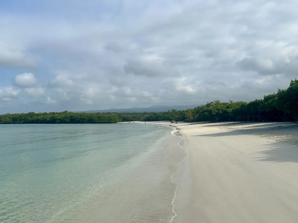 A long, empty white-sand beach lined with green trees beside calm turquoise water at Tortuga Bay in the Galápagos