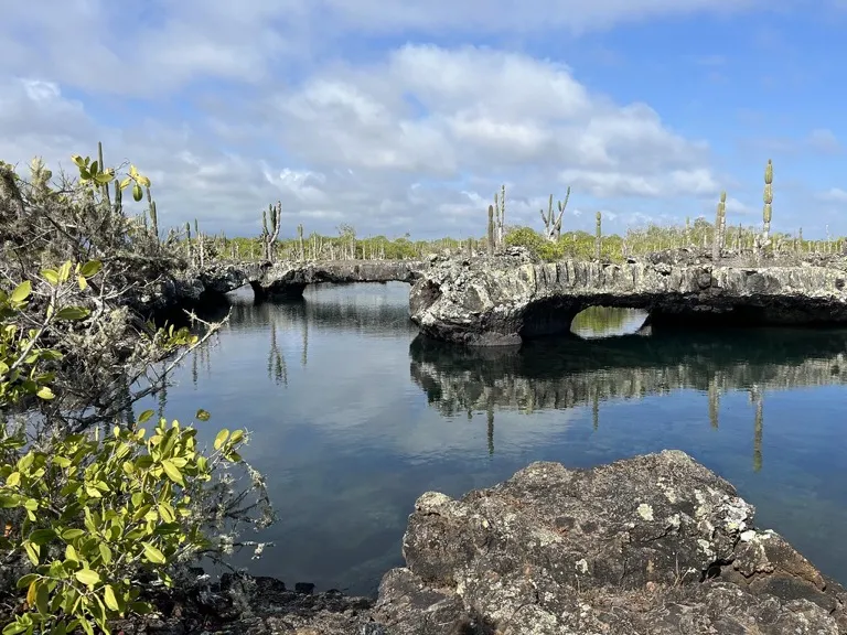 Lava arches over still turquoise water at Los Túneles, Isabela