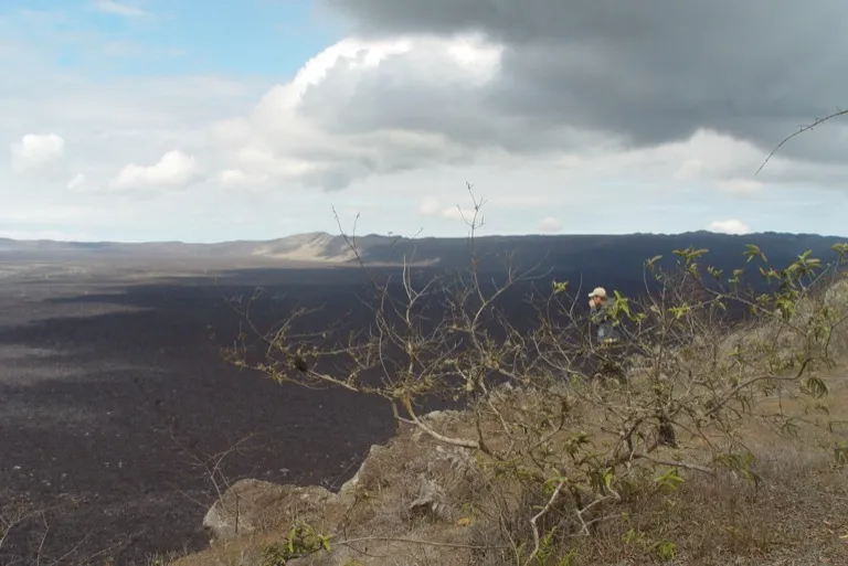 The wide caldera of the Sierra Negra volcano on Isabela