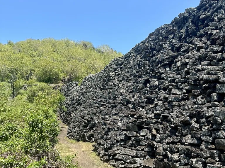 The Wall of Tears, a high wall of black lava blocks beside a dirt trail on Isabela