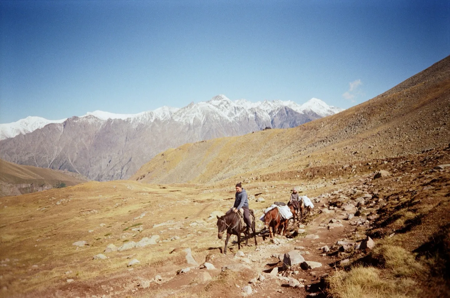 Mule train on a mountain trail with snow-capped peaks behind