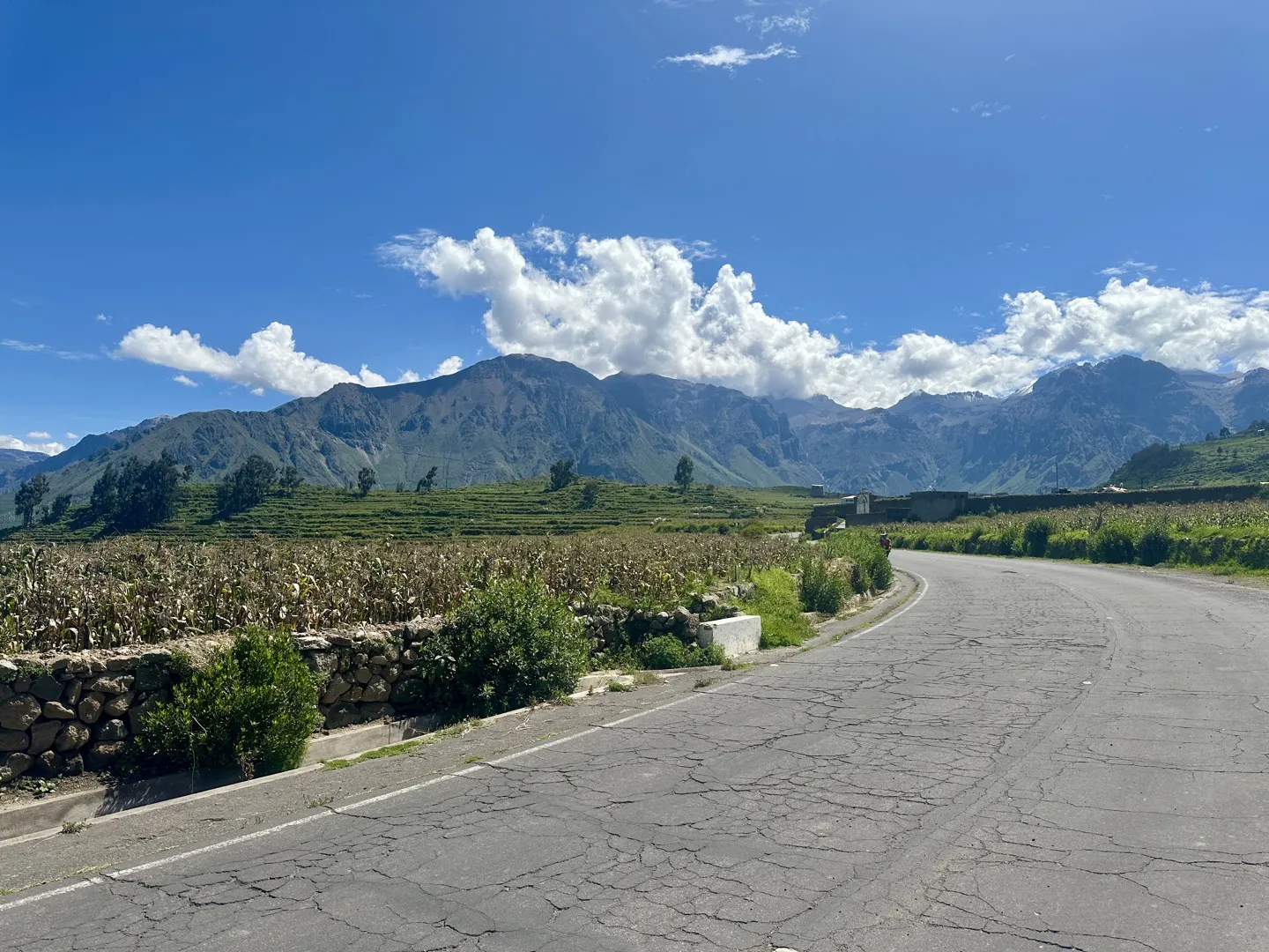 Paved road into Cabanaconde with terraced fields and the Colca Canyon mountains behind