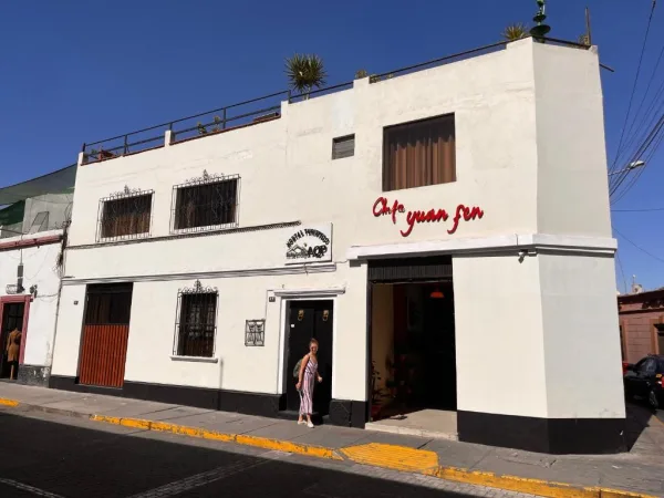 Garden and sun terrace at Friendly AQP guesthouse in Arequipa