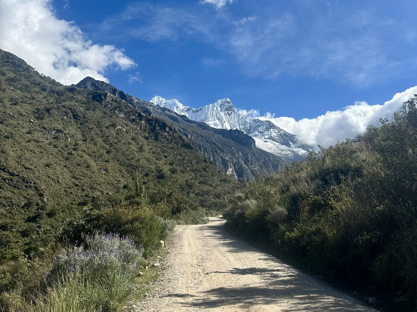 The dirt road winding up the valley to the Laguna 69 trailhead, snow-capped peaks ahead and lupins along the verge