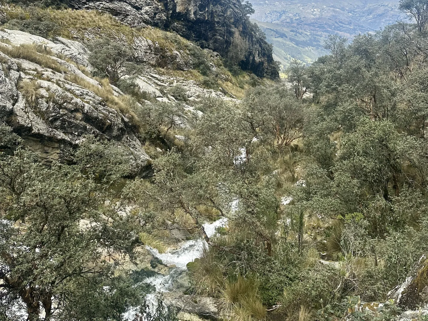 A stream running down through scrub beside the Laguna Churup trail, the valley dropping away below