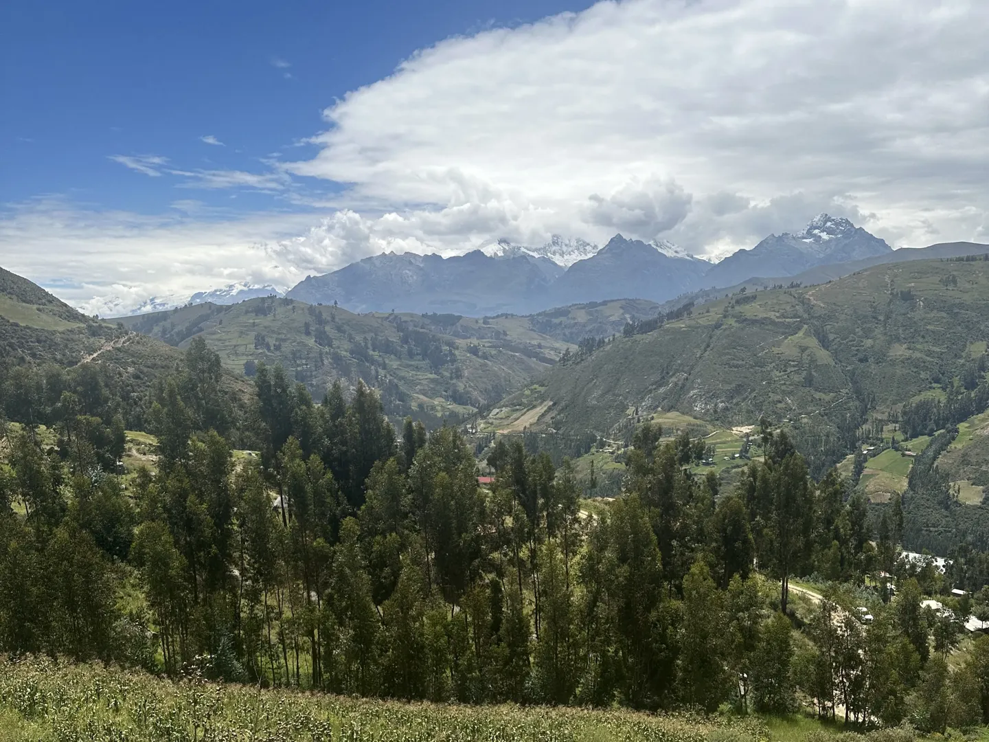 Snow-capped Cordillera Blanca peaks above a eucalyptus-filled valley, seen from the Laguna Wilcacocha trail