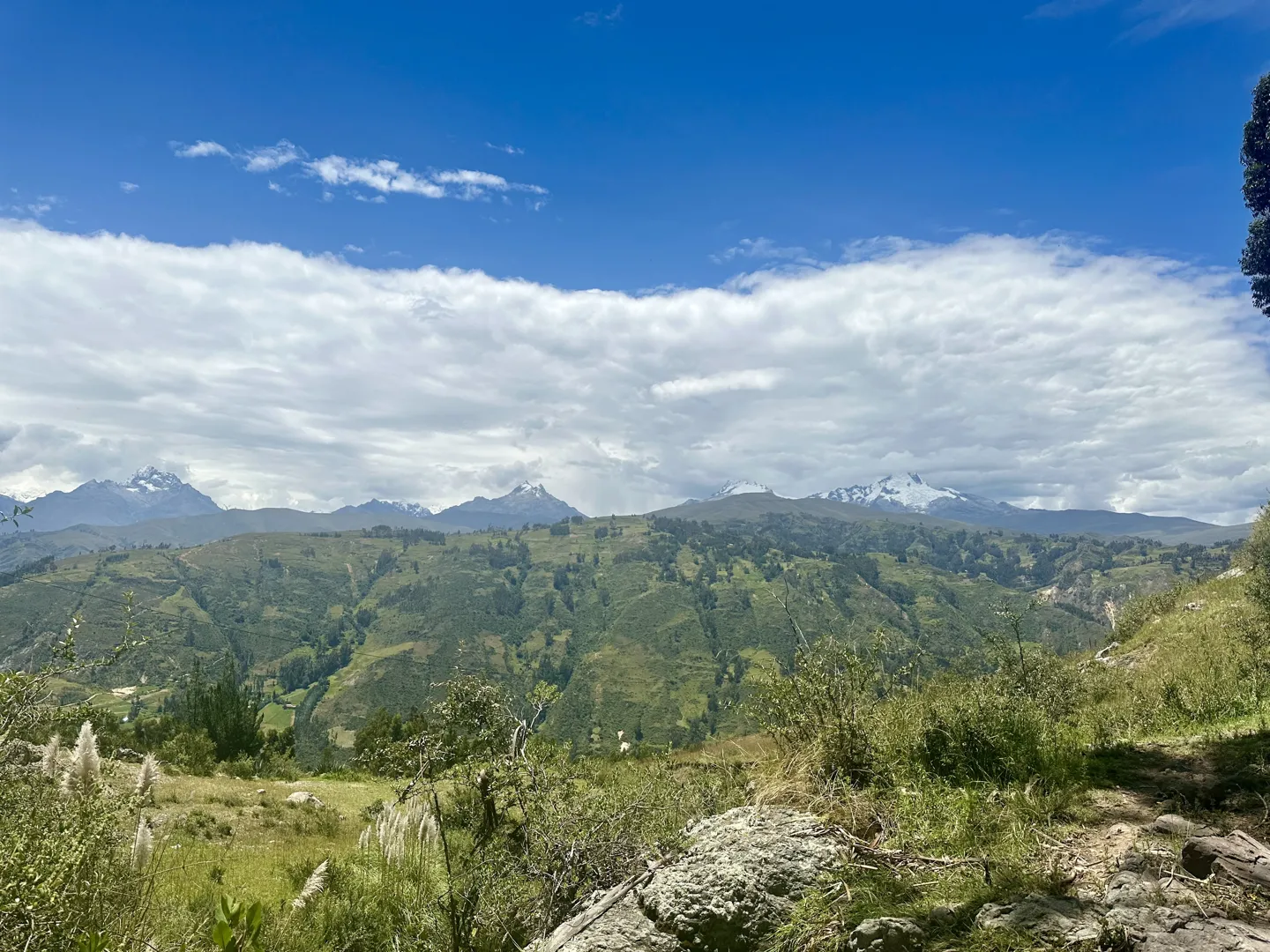 Panorama from the Laguna Wilcacocha trail across the valley to the snow-capped Cordillera Blanca