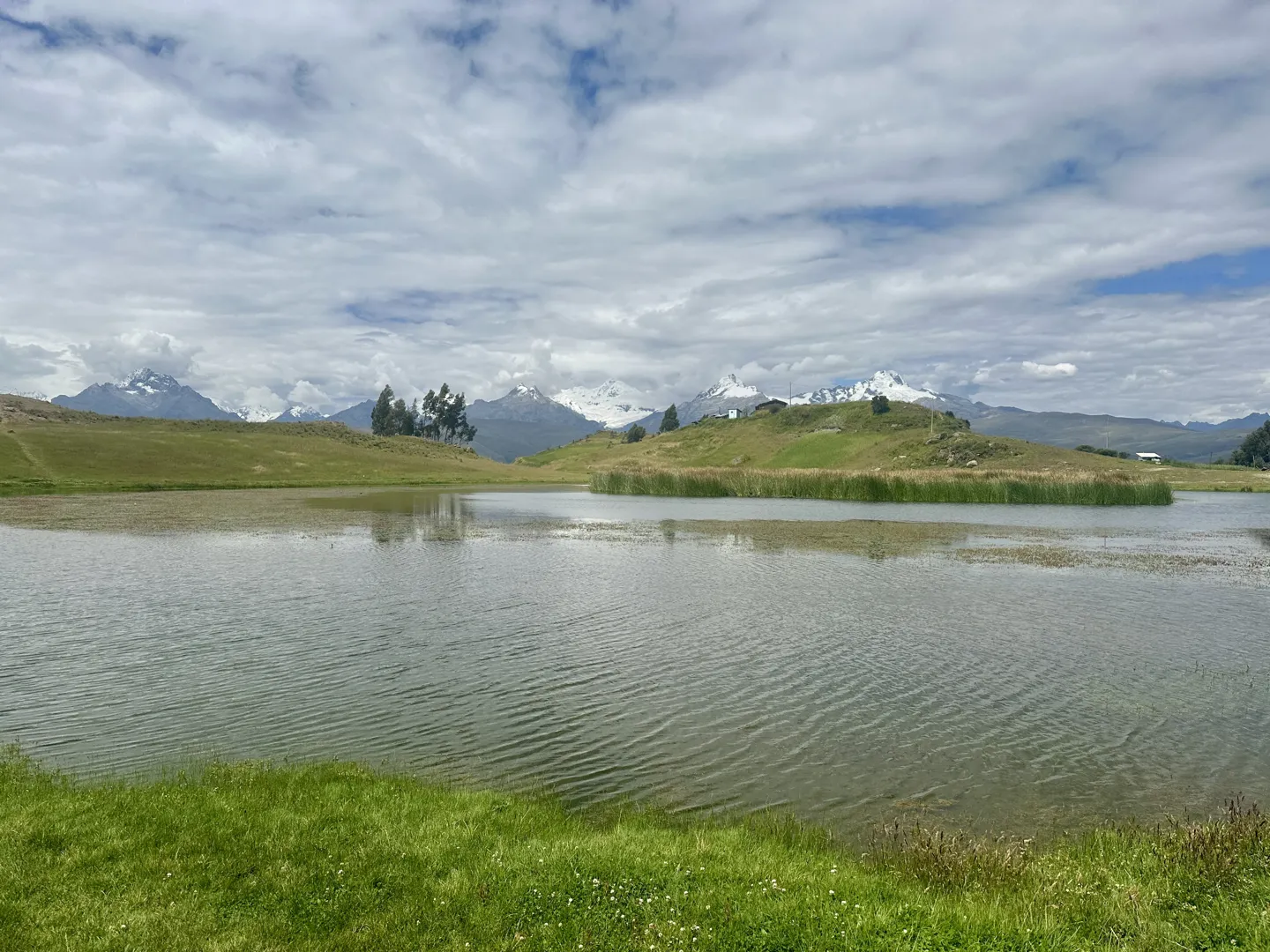 Laguna Wilcacocha, a shallow reed-fringed lake, with the snow-capped Cordillera Blanca on the horizon