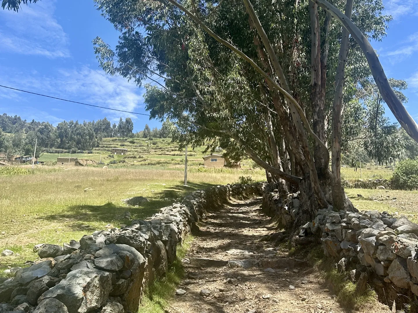 The dirt trail to Laguna Wilcacocha running between dry-stone walls under eucalyptus trees