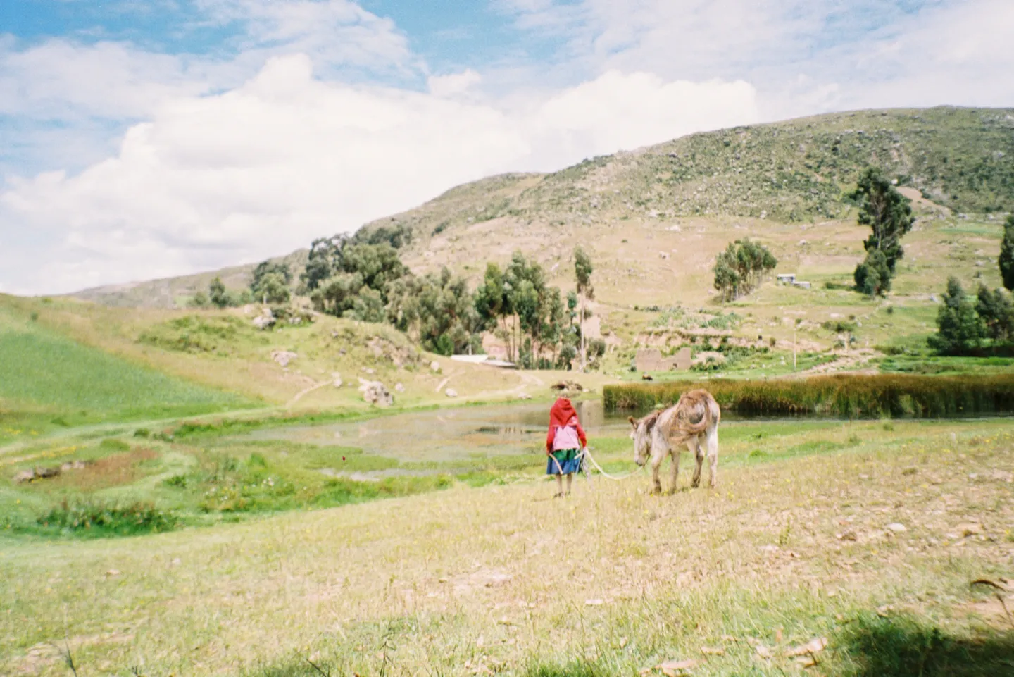 A woman in a red shawl leading a donkey across the grass beside Laguna Wilcacocha