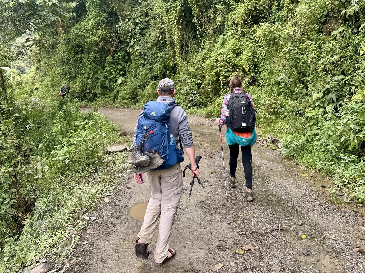 Trail through the subtropical valley and coffee plantations on day three of the Salkantay Trek