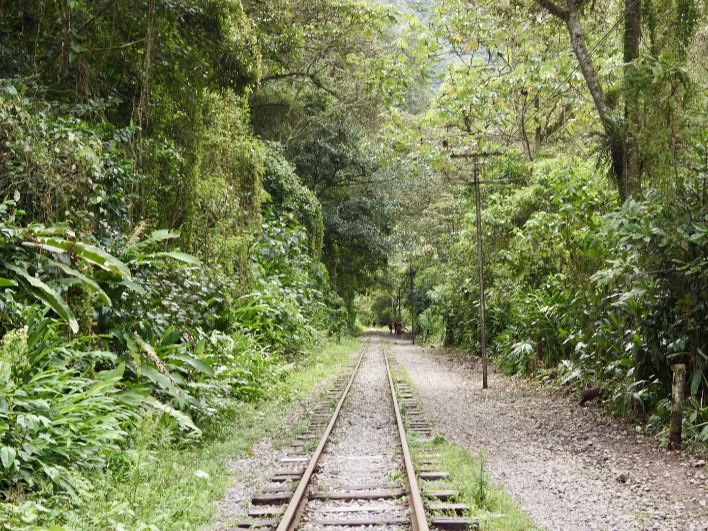 Walking the train tracks through lush jungle from Hidroelectrica to Aguas Calientes